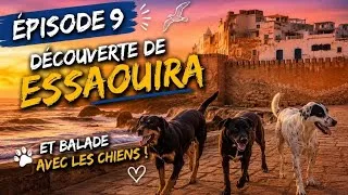 Miniature : Épisode 9 : Découverte de ESSAOUIRA et Balade avec les chiens. 