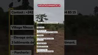 Miniature : 📣 VENTE D'UN SITE D'EXPLOITATION DE 3 hectares