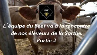 Miniature : Le Beef à la rencontre d'un éleveur de la coopérative située dans la Sarthe partie 2