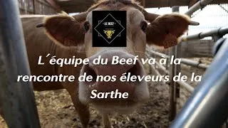 Miniature : Le Beef à la rencontre d'un éleveur de la coopérative située dans la Sarthe partie 1