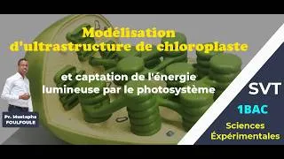 Miniature : Modélisation Structure 3D du Chloroplaste et fonctionnement du Photosystème