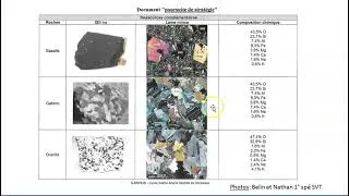 Miniature : Réussir l'épreuve d'ECE en SVT 5 sujets commentés