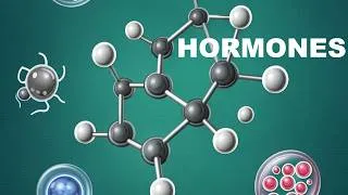 Miniature : Hormones : structures, mécanismes et régulations