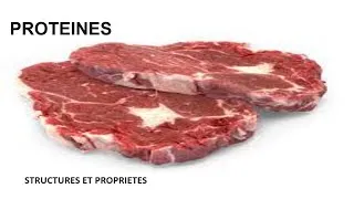 Miniature : Structures et propriétés des Protéines