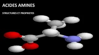 Miniature : Structures et propriétés des Acides Aminés