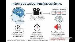 Miniature : Solution pour Alzheimer avec plus de détails