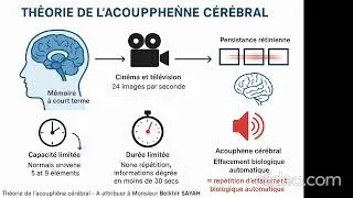 Miniature : Une solution pour la maladie d'Alzheimer et les acouphènes.