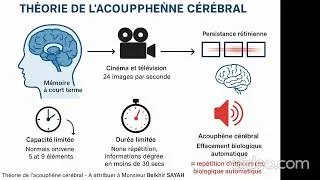 Miniature : Une théorie révolutionnaire pour la maladie d'Alzheimer et les acouphènes.