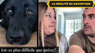 Miniature : #195 -LA RÉALITÉ DE SA PREMIÈRE SEMAINE (TOUT CE QUE CELA COMPORTE) …🚨
