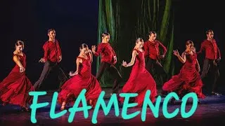 Miniature : Arrebato Flamenco : Pasión en Movimiento 💃
