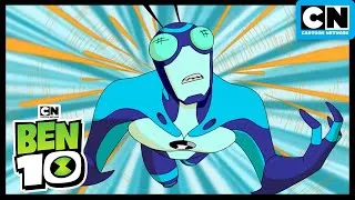 Miniature : La Chasse Au Trésor | Ben 10 Français | Cartoon Network