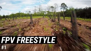 Miniature : FPV FREESTYLE - Playing with trees