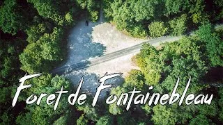 Miniature : Forêt de Fontainebleau entre terre et ciel - 4K CINEMATIC DRONE FOOTAGE