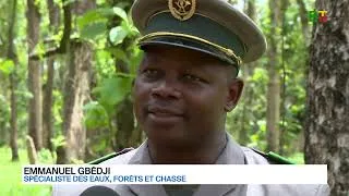 Miniature : Chauves-souris : entre peur et utilité | Bénin TV | 19 juin 2026