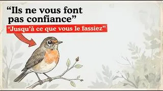 Miniature : Comment les Oiseaux Décident si Vous Êtes en Sécurité (avec Son)