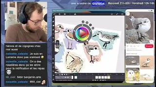 Miniature : Design d'oiseaux et de mulots pour mon film d'animation (sur Callipeg)