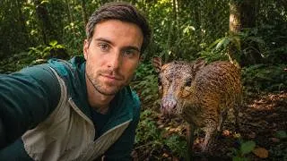 Miniature : Cet animal a changé le monde (et personne n'en parle)