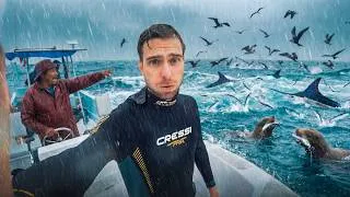 Miniature : J'ai filmé le plus grand carnage de l'océan Pacifique (Documentaire)