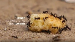 Miniature : Le monde ne s'arrête pas de tourner