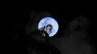 Miniature : J'ai attendu la Lune pour te parler
