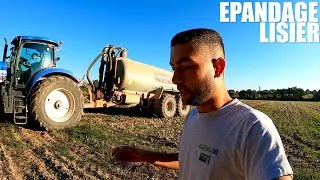 Miniature : Épandage de lisier avant le Ray Grass !