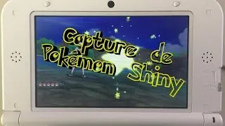 Miniature : Rencontre aléatoire d'un Shiny Wingull / Goélise Chromatique sur Pokémon SUN MOON - Ben Le NES