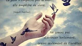 Miniature : Yannick Noah - Ose (+ paroles/lyrics)