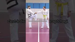 Miniature : On ne le dira jamais assez, profitez du Hoshinsul pour tenter de placer des techniques de Taekwondo