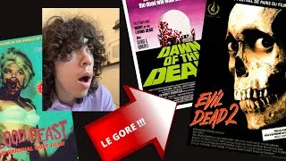 Miniature : LE FILM D'HORREUR ET LE GORE | Essai Vidéo | cinéma