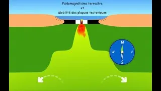 Miniature : Paléomagnétisme Terrestre et Mobilité des plaques tectoniques