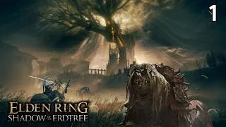 Miniature : Royaume des Ombres | Elden Ring: Shadow of the Erdtree 1/? (Gameplay FR)