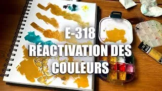 Miniature : E318 - Réactivation des couleurs 