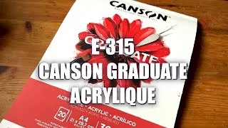 Miniature : E315 - Canson Graduate Acrylique  