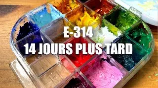 Miniature : E314 - Palette hermetique + huile hydrosoluble 14 jours plus tard 