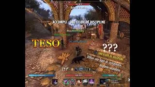 Miniature : Teso Soluce Bug Quête Multiclasse Une Etude de Discipline