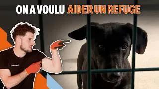 Miniature : Ce refuge avait besoin d'aide (on a fait ce qu'on a pu)
