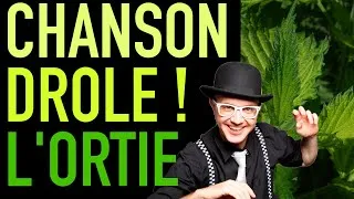Miniature : Chanson FR pop - "Viva l'ortie" composée par Berti Vox, auteur compositeur interprète