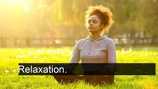 Miniature : Découvrez les Meilleures Techniques de Relaxation pour Éliminer le Stress et Se Détendre
