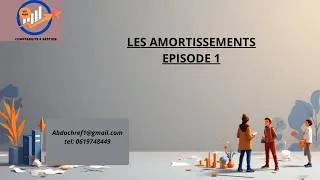 Miniature : les amortissements