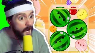 Miniature : Paqman de RETOUR sur SUIKA GAME !