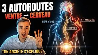 Miniature : Pourquoi ton anxiété vient de ton ventre (pas de ton cerveau)