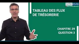 Miniature : Tableau des flux de trésorerie