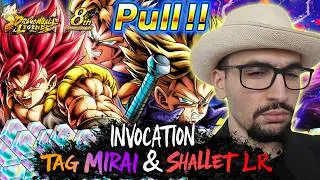 Miniature : LE JEU ME RÉCOMPENSE ENFIN ? Invocation Tag Mirai & Shallet LR (DBL)