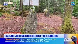 Miniature : L'Alsace à l'époque des Celtes et des Gaulois