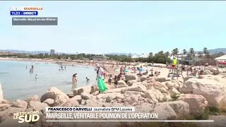 Miniature : Nettoyons le Sud : plus de 10 000 mégots récoltés en une heure à Marseille