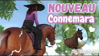 Miniature : Mini maj et annonces sur mon serveur Minecraft Equestre | SSO MAJ du 13/05/26