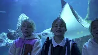 Miniature : "Biarritz" - Par les enfants de Biarritz feat. David Cairol [Clip Officiel]