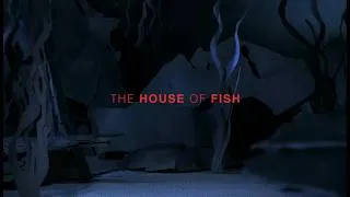 Miniature : MINI FILMA - THE HOUSE OF FISH de Dimitri Daubenfeld et Clément Bascugnana Thuret
