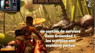 Miniature : quel enfer se monde les insecte son partou