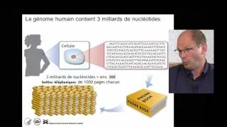 Miniature : L'homme prisonnier de son génome ?